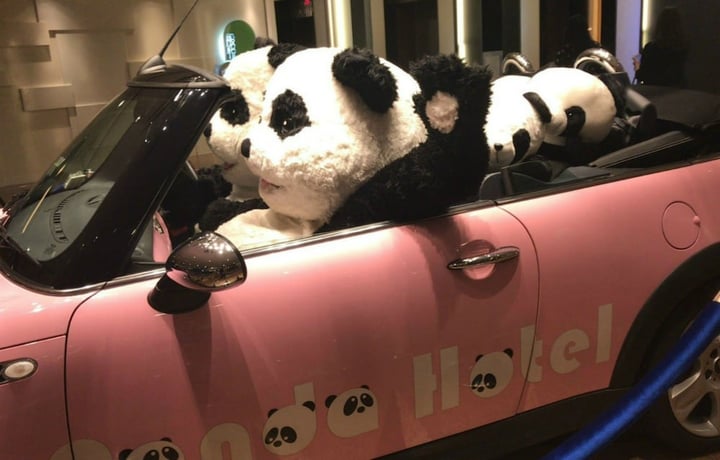 一隻熊貓坐在汽車後座
